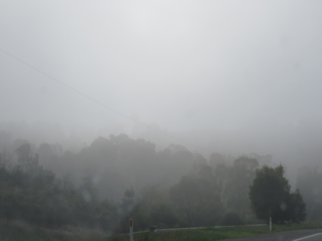 Melbourne fog by cruiser