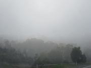 3rd Jun 2016 - Melbourne fog