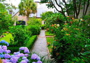 4th Jun 2016 - Garden, Historic District, Charleston, SC
