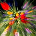 Zoom burst cropped square by laroque