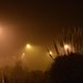 Very Foggy by nickspicsnz