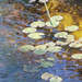 0601_3998 lily pond by pennyrae