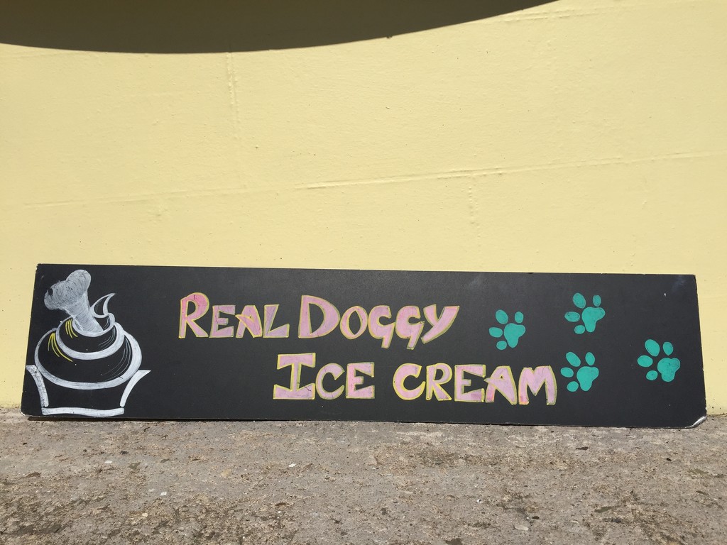 Real doggy icecream by jocasta