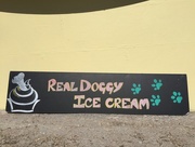 5th Jun 2016 - Real doggy icecream