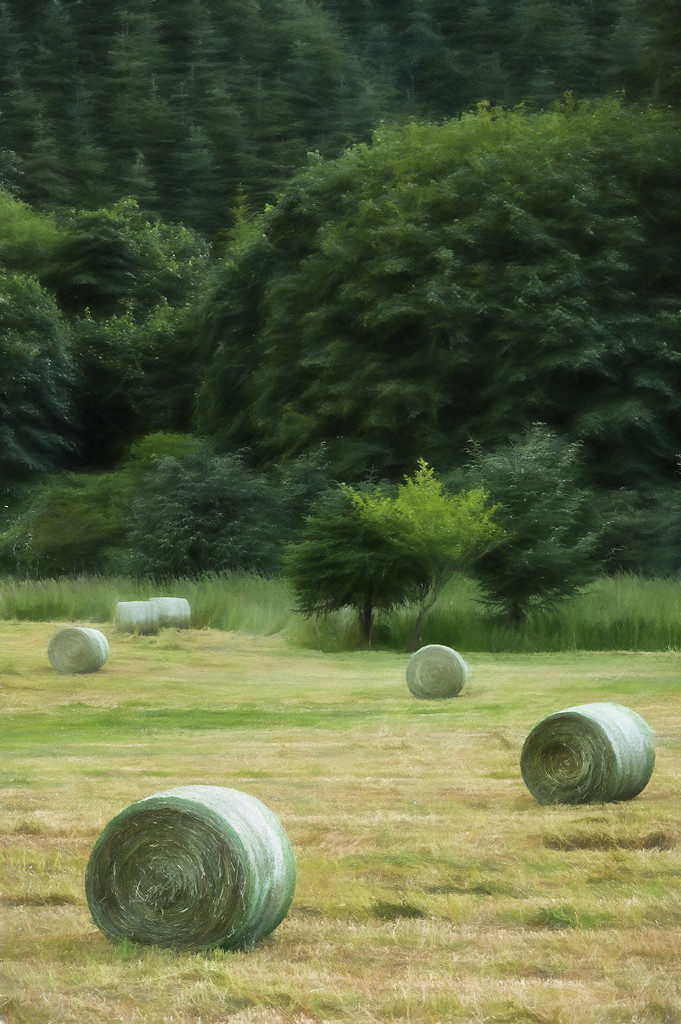 Hay Bales Water Colour by jgpittenger