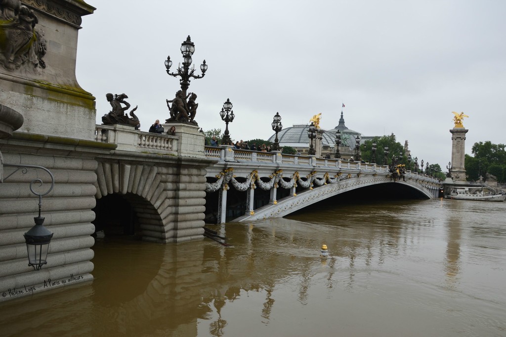 The Seine is sooooo high by parisouailleurs