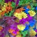 Brightly Dyed Bouquets  by scoobylou