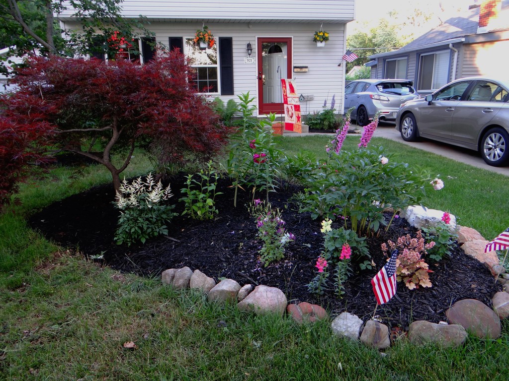 Front Garden Project Complete by brillomick