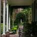 Garden and porches, historic district, Charleston, SC by congaree