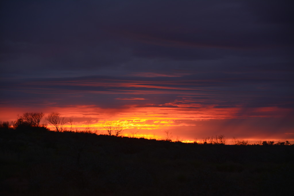 Sunrise At Yarla_DSC5029 by merrelyn