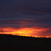 Sunrise At Yarla_DSC5029 by merrelyn