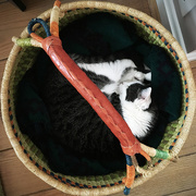5th Jun 2016 - Lucy & The Knitting Basket
