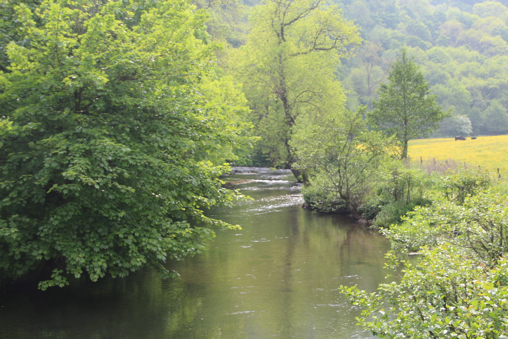 River Wye Derbishire by oldjosh