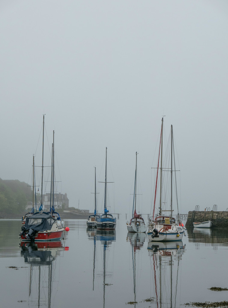A bit misty at the harbour by frequentframes
