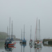 A bit misty at the harbour by frequentframes