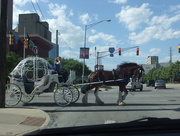 7th Jun 2016 - Does Cinderella live in Indy? 