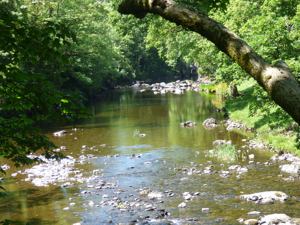  The river @Bettws y Coed  by beryl