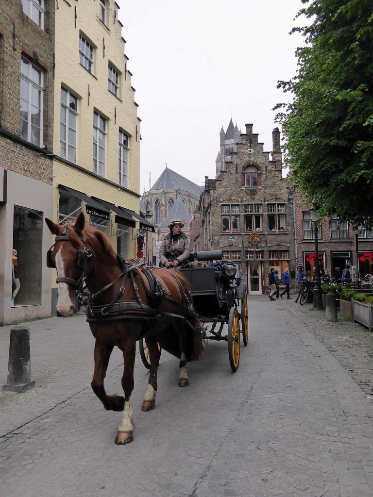 Horse-drawn carriages by cmp