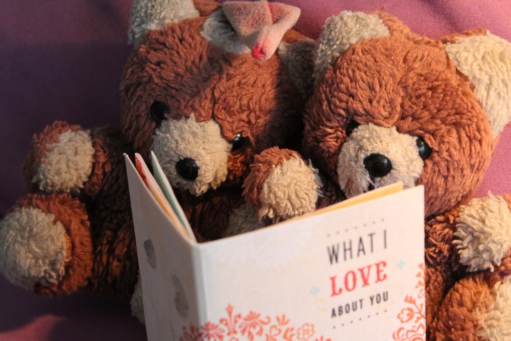 Teddy Bear Bedtime Reading by granagringa