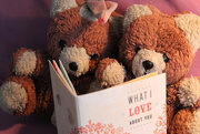 8th Jun 2016 - Teddy Bear Bedtime Reading