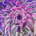 Purple Succulent  by flygirl