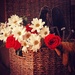 Bouquet Still-Life by farmreporter
