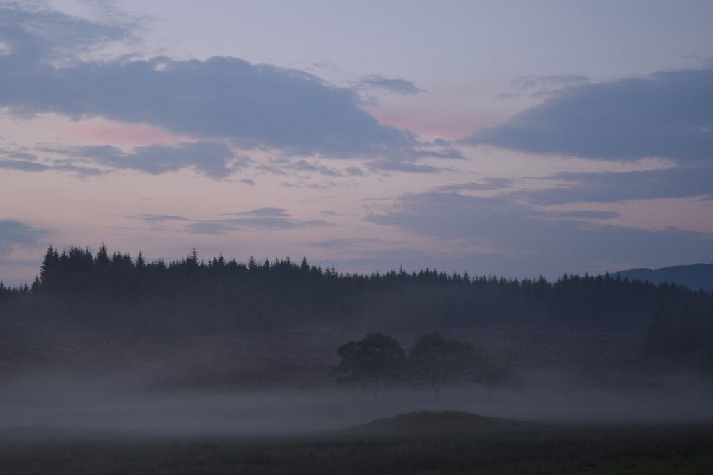 evening mist by christophercox