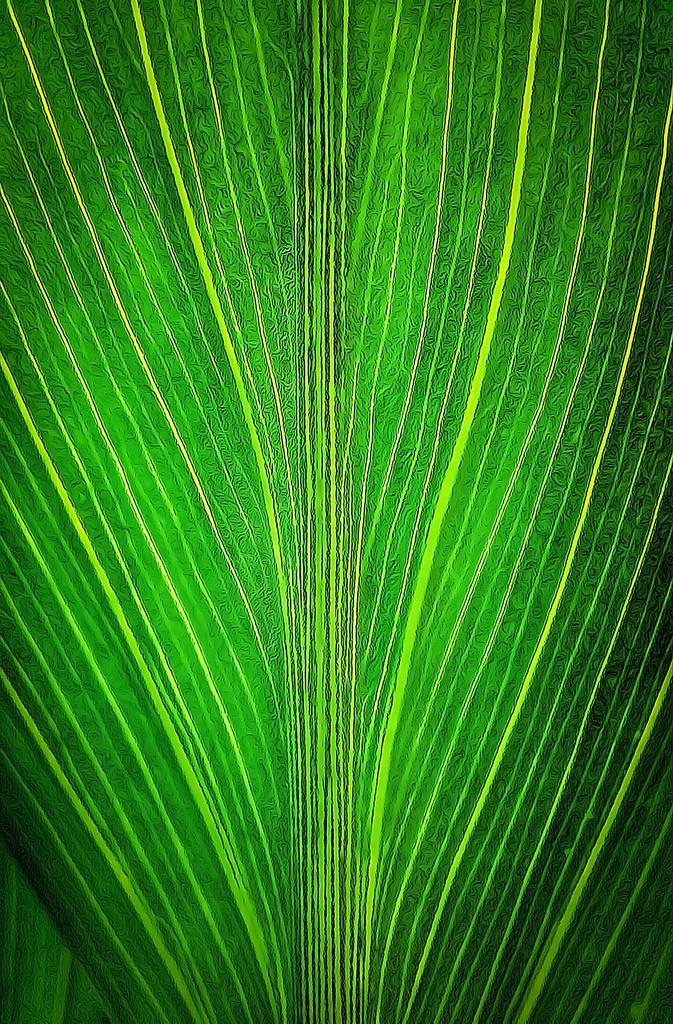Leaf Lines by sbolden