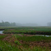 Foggy Marsh by dianen