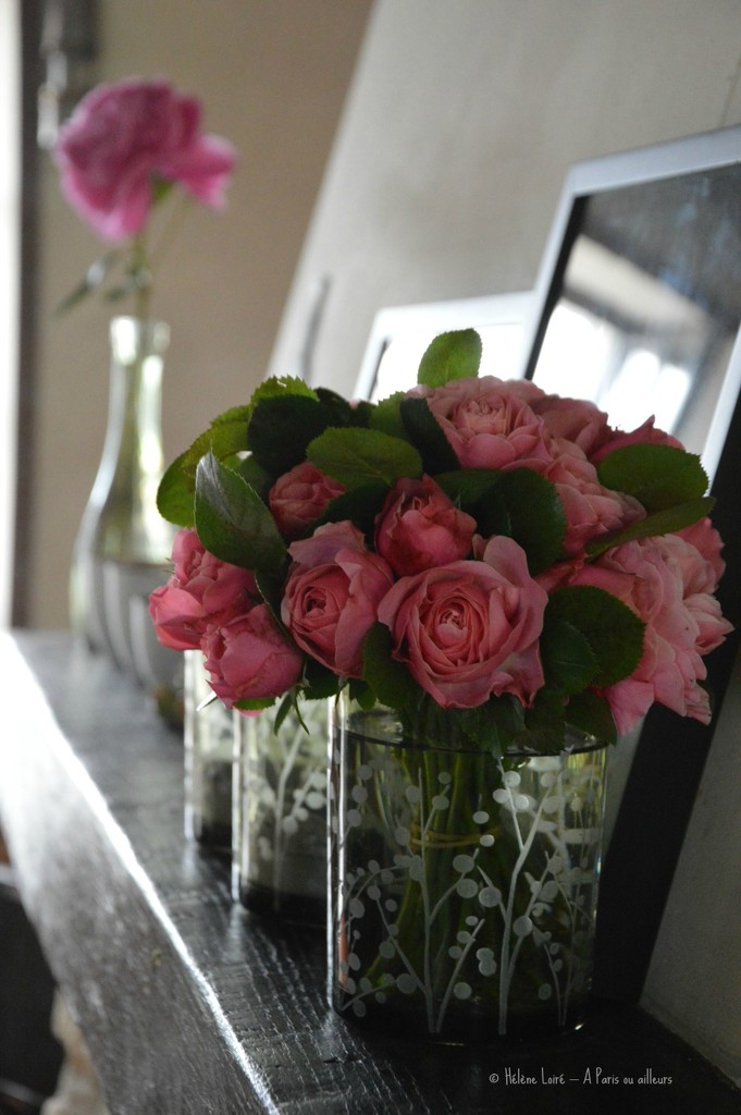 Roses from the garden by parisouailleurs