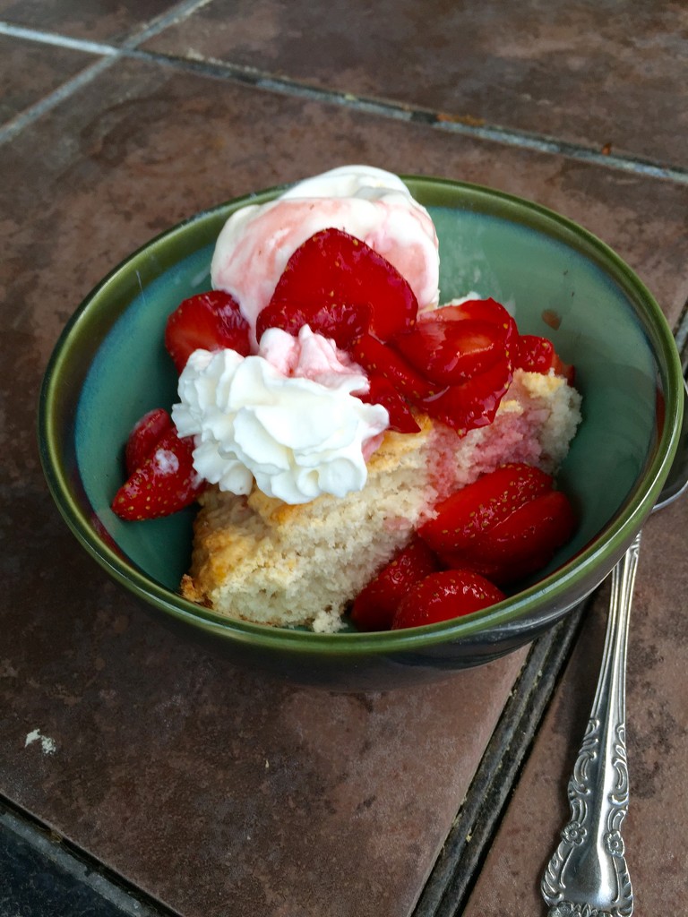 Strawberry shortcake by beckyk365