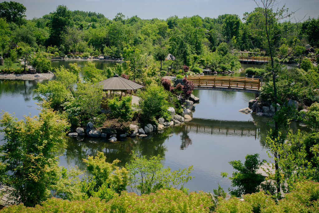 Japanese Garden - Meijer Gardens - Grand Rapids, MI by jackies365
