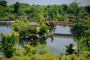 11th Jun 2016 - Japanese Garden - Meijer Gardens - Grand Rapids, MI