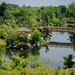 Japanese Garden - Meijer Gardens - Grand Rapids, MI by jackies365