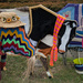 Knit Fest, Maleny by jeneurell