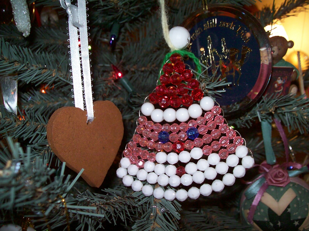 A Special Ornament by julie