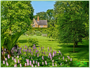 12th Jun 2016 - Coton Manor House And Gardens