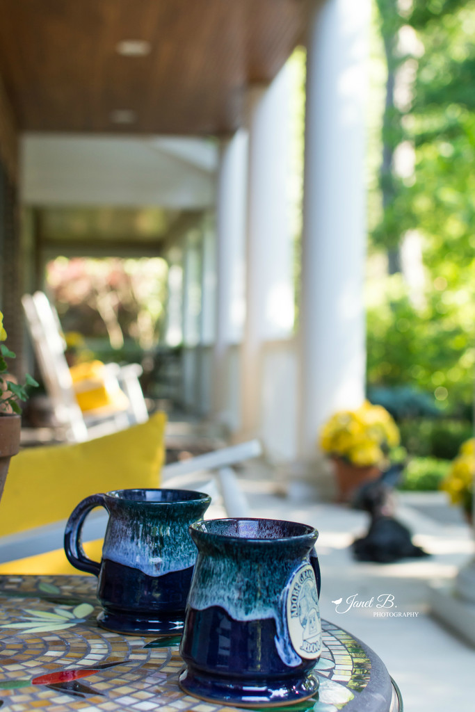 Porch Morning by janetb