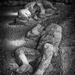 Plaster Casts, Pompei. by gamelee
