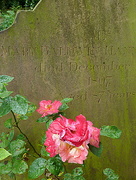 12th Jun 2016 - Mary's grave