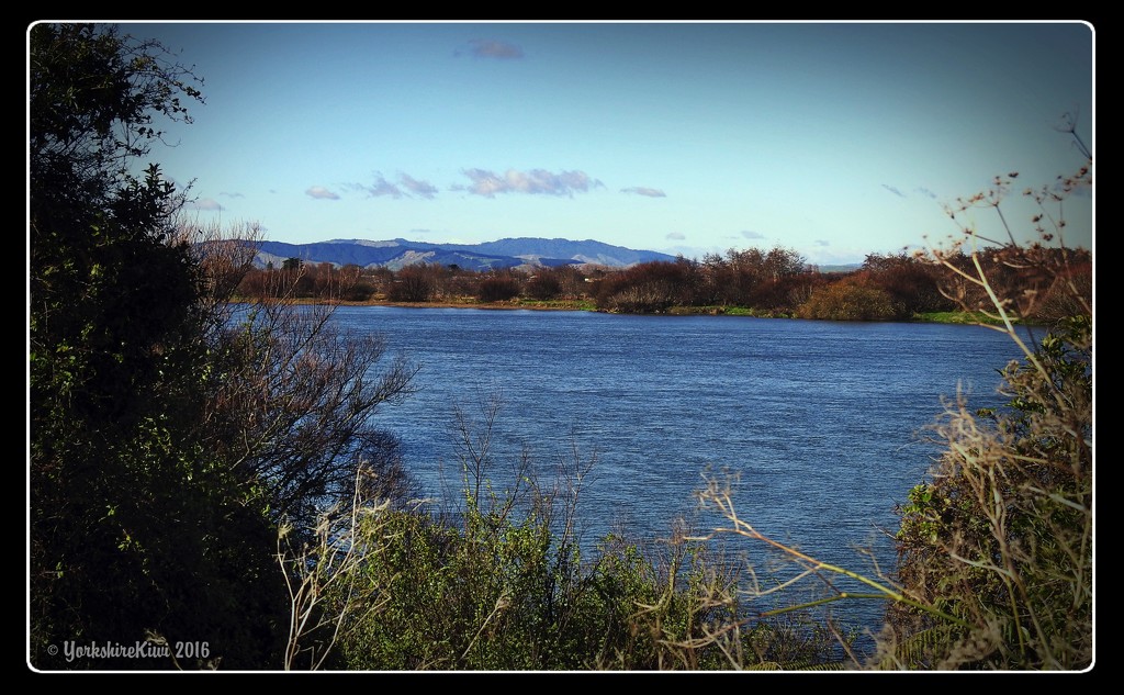 Winter day on the Waikato river by yorkshirekiwi