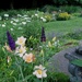 My June Garden by tunia
