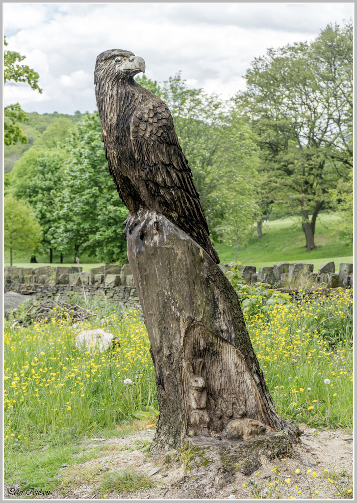 Wooden Eagle by pcoulson