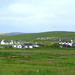 Levenwick, Shetland by lifeat60degrees