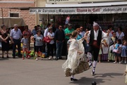 11th Jun 2016 - Folk dancing at the olive festival