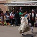 Folk dancing at the olive festival by busylady