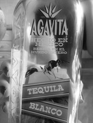 15th Jun 2016 - Tequila Night