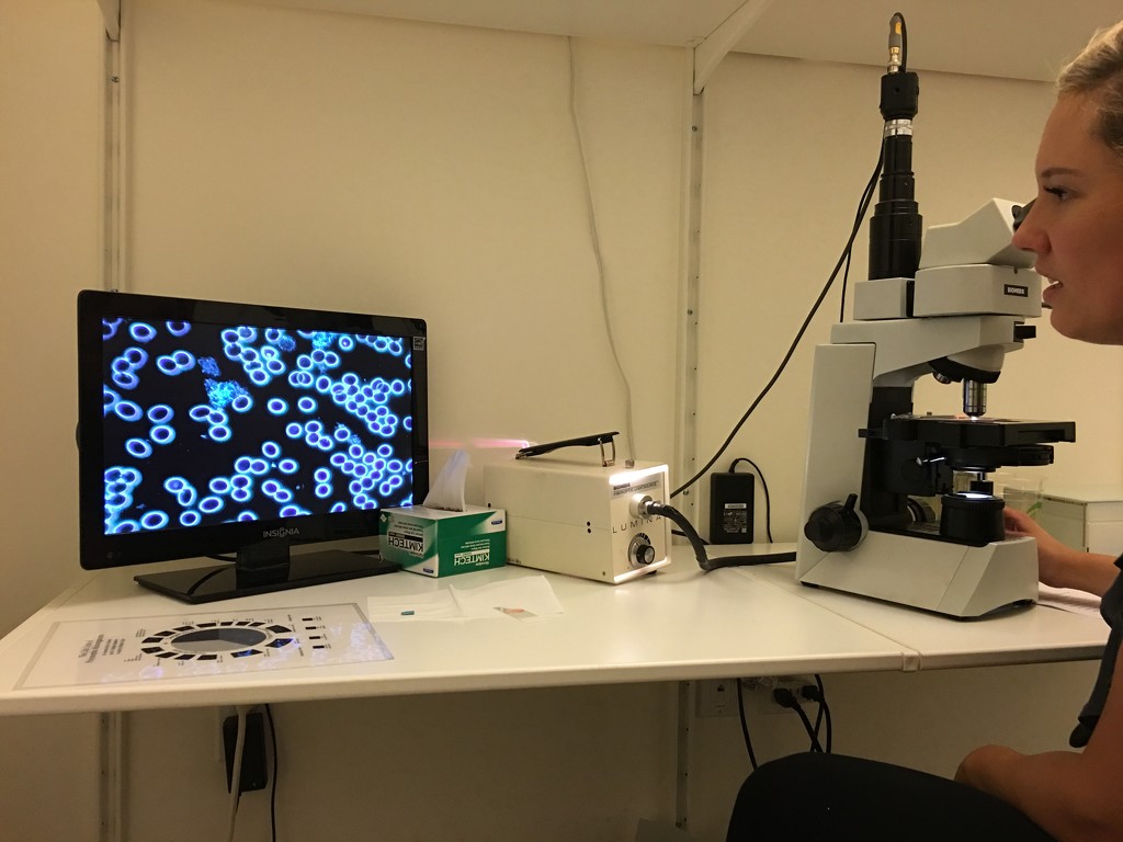 Live Cell Microscopy Test by frantackaberry