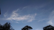 16th Jun 2016 - Horsetail Clouds