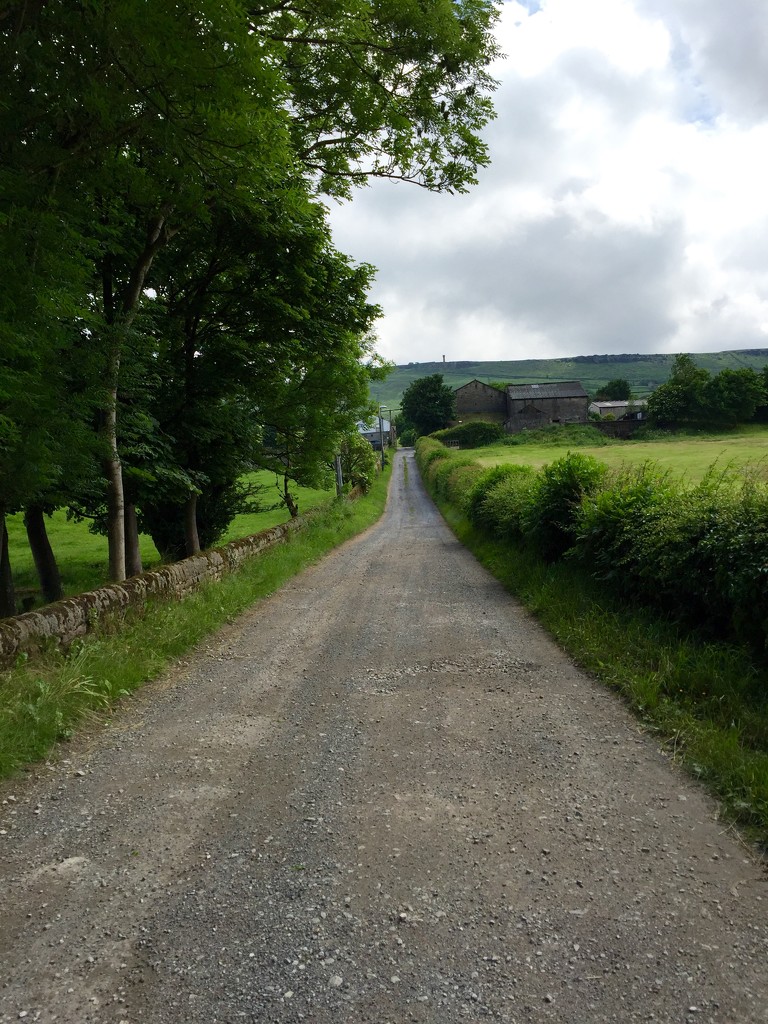 Lane Up To The Farm by gillian1912